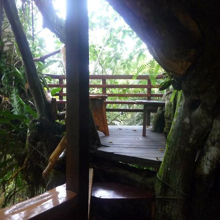 Topos Tree House Кауита Экстерьер фото