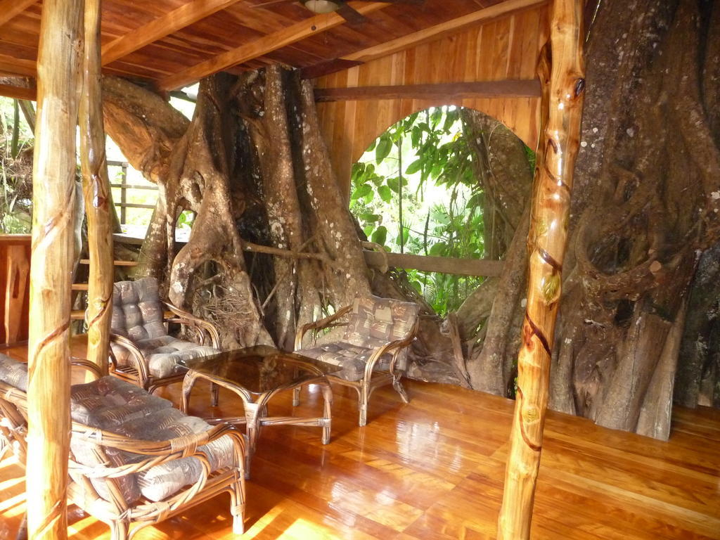 Topos Tree House Кауита Экстерьер фото