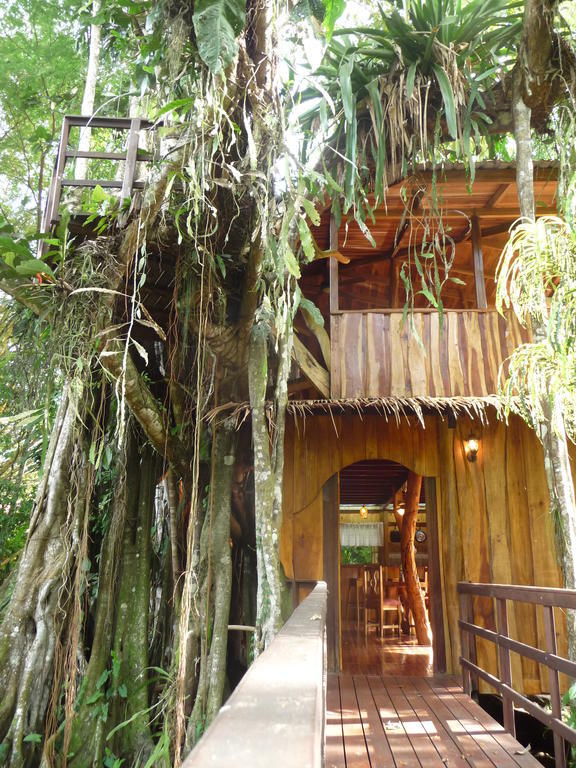Topos Tree House Кауита Номер фото