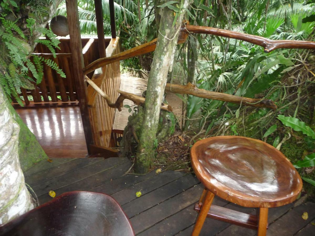 Topos Tree House Кауита Экстерьер фото